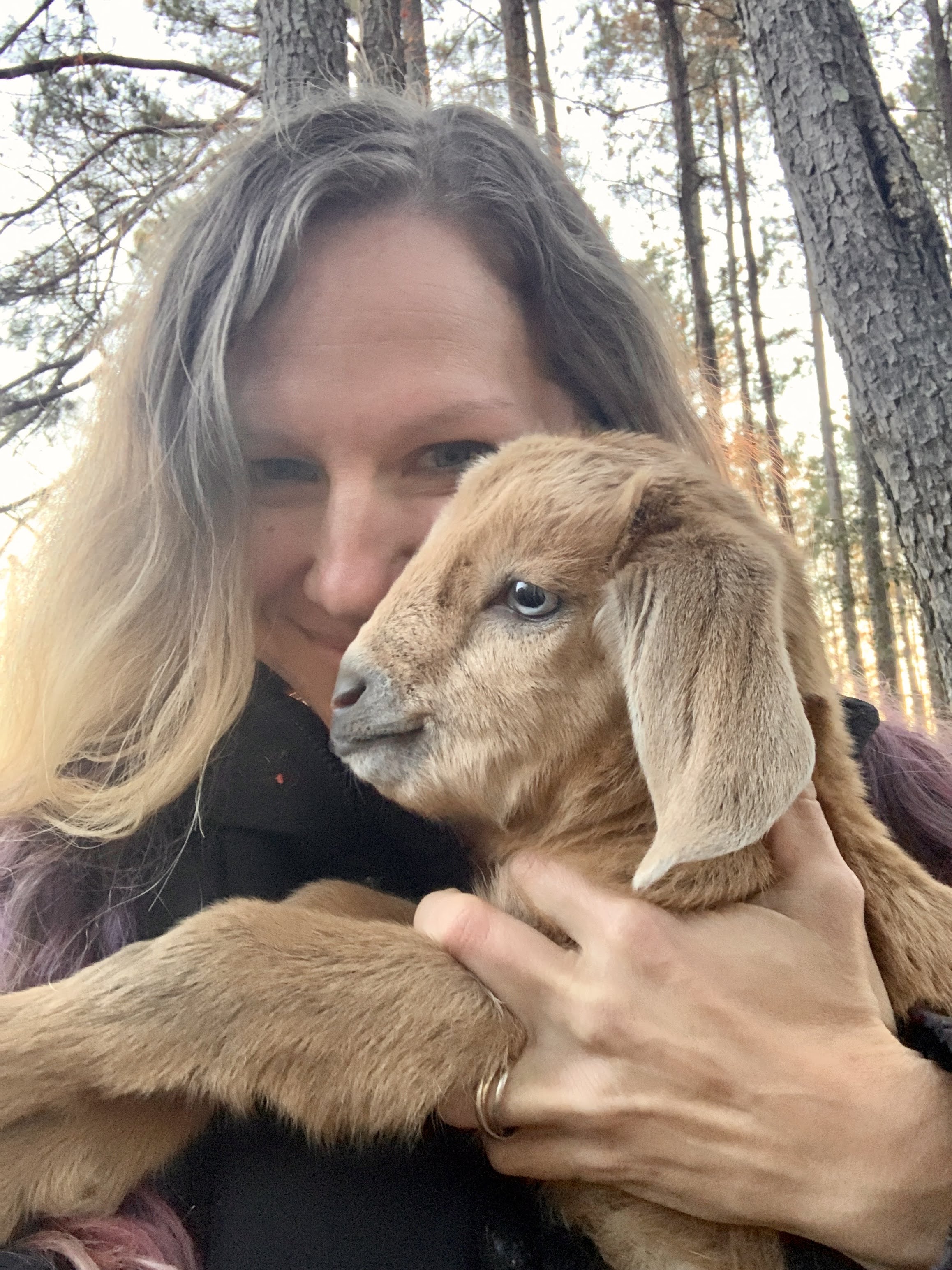 baby goats